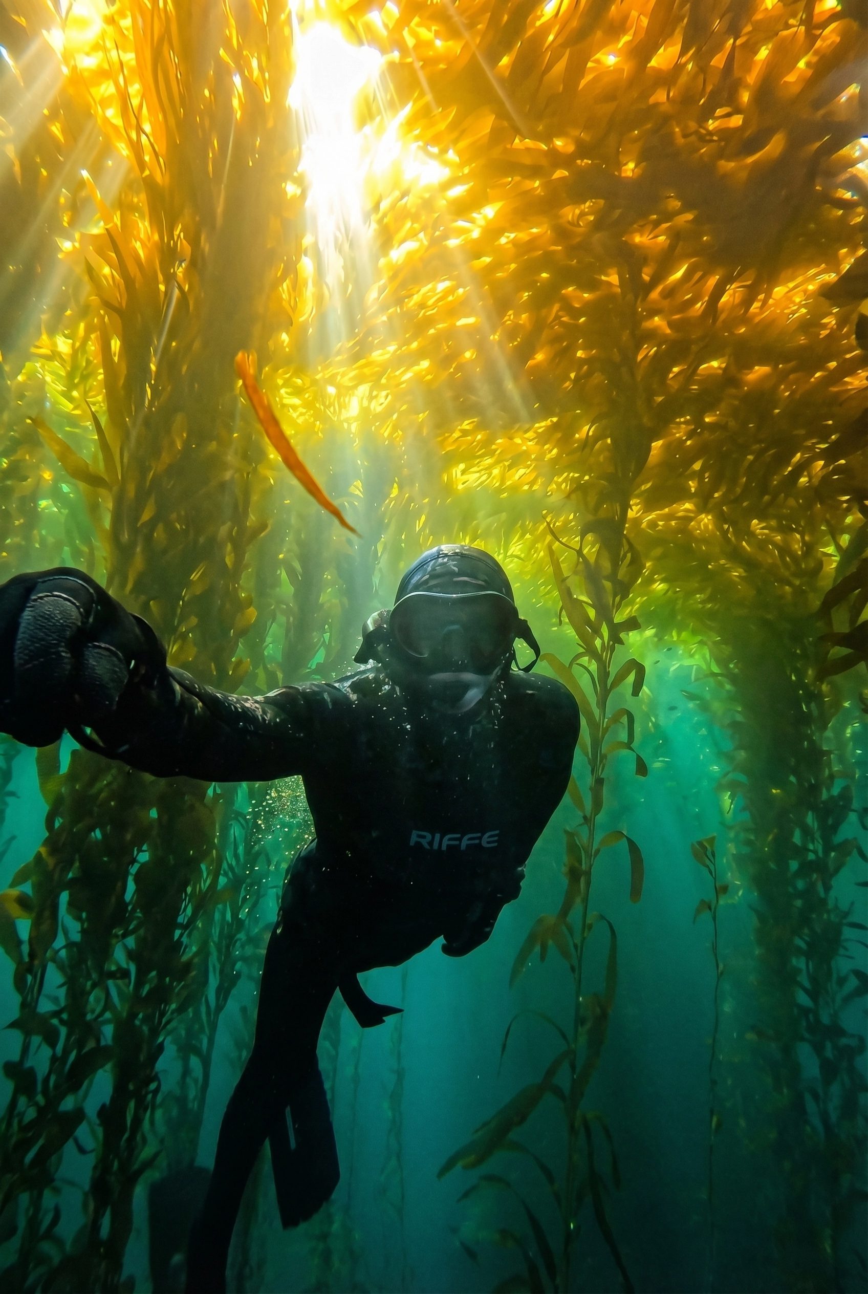 Preston Durnford diving — Southern California waters